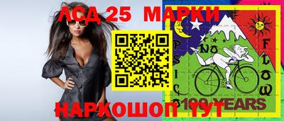 бошки Владимир