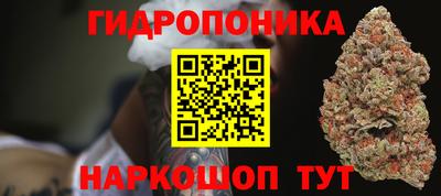 бошки Владимир